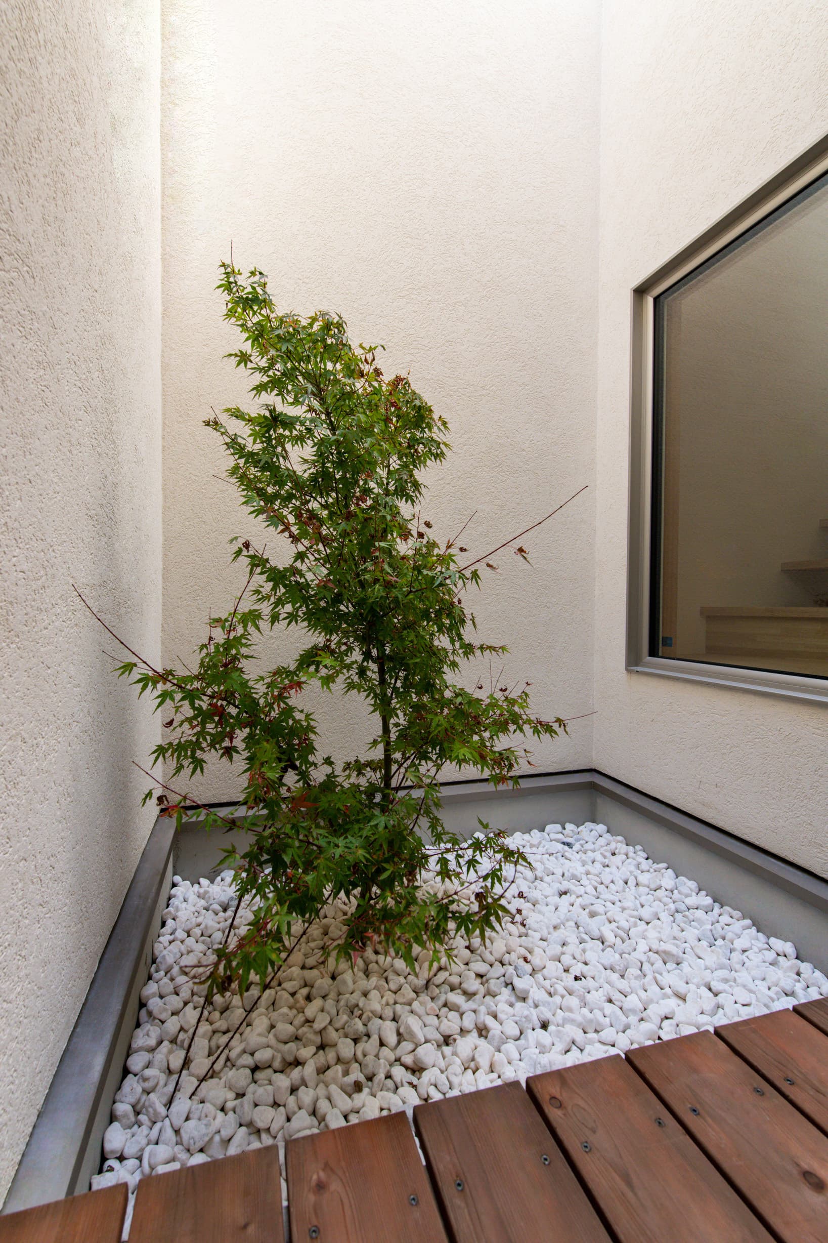 mhouse-5.jpg